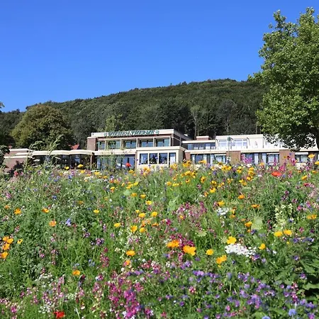 Wiehen-therme 酒店 Hullhorst