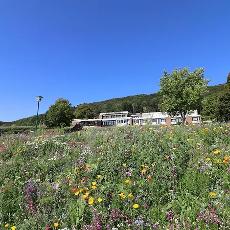 Hotel Wiehen-therme