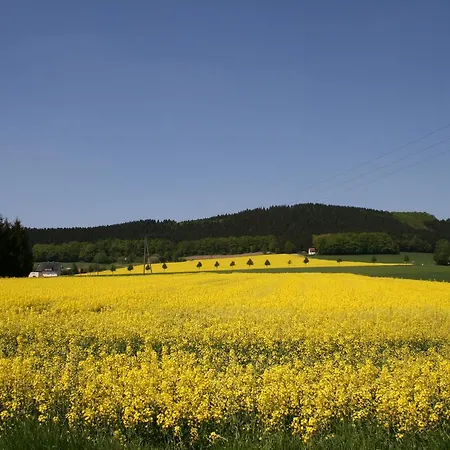 Hotel Wiehen-therme Hullhorst
