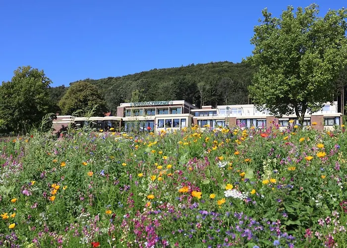 Wiehen-therme Hotel Hullhorst