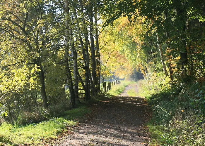 Szálloda Wiehen-therme