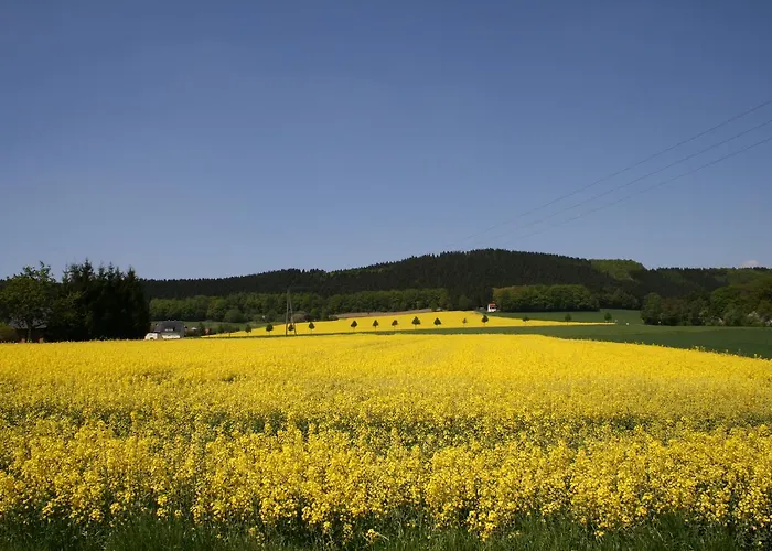 Hotel Wiehen-therme Hullhorst